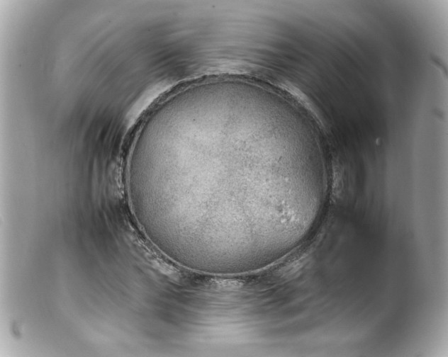 X0000100230878200805301410