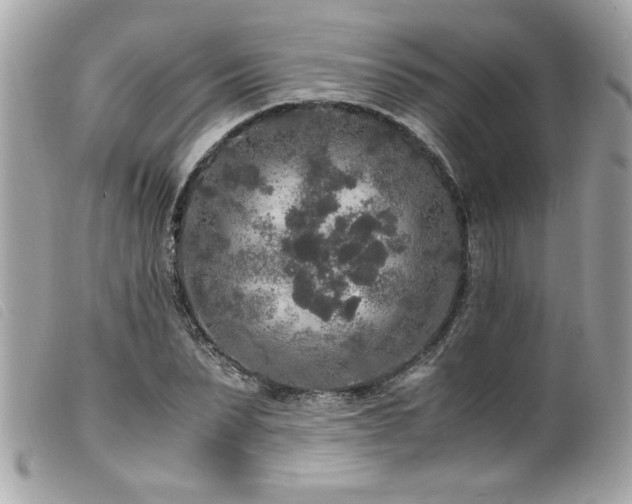 X0000100230879200805301410