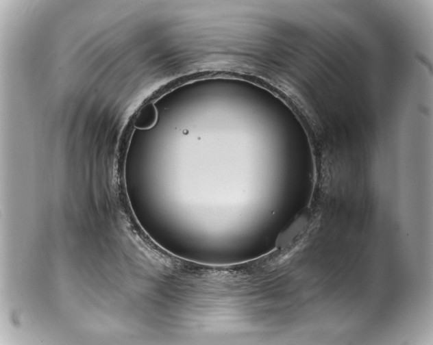 X0000100230880200805301410