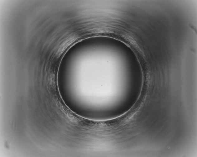 X0000100230881200805301410