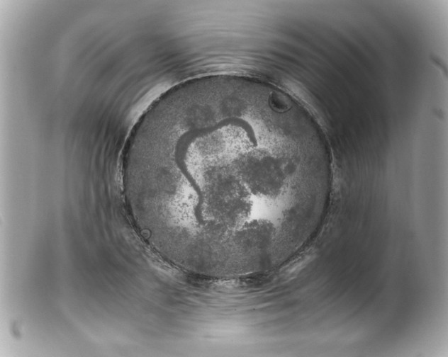 X0000100230883200805301410
