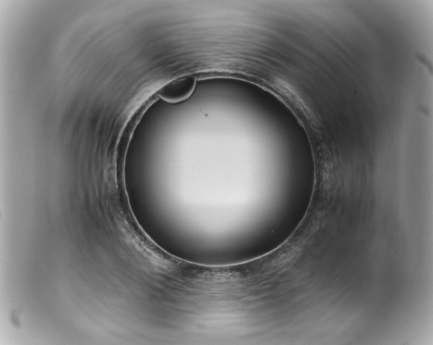 X0000100230884200805301410