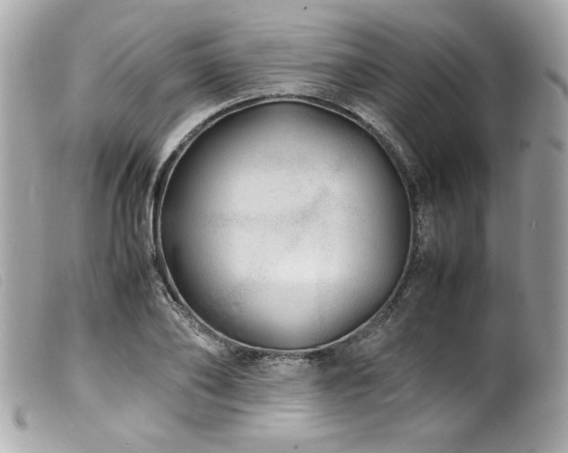 X0000100230886200805301410