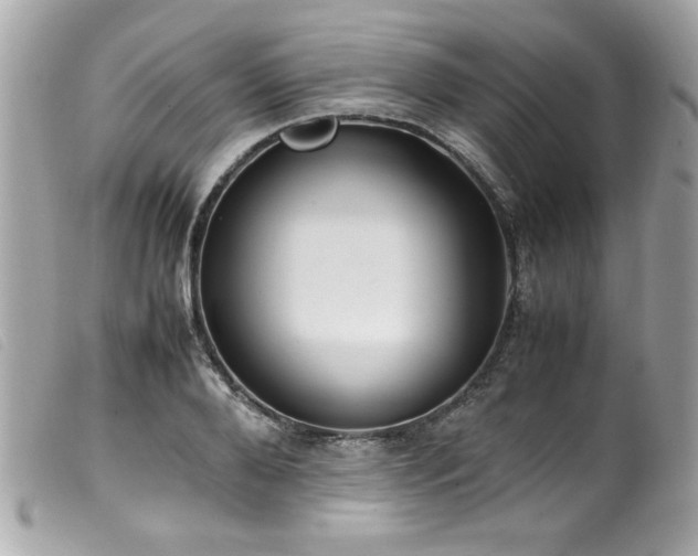 X0000100230888200805301410