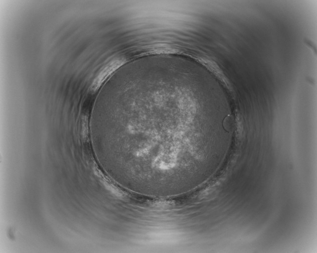 X0000100230889200805301410