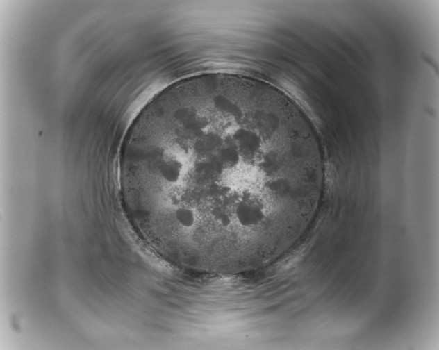X0000100230891200805301410