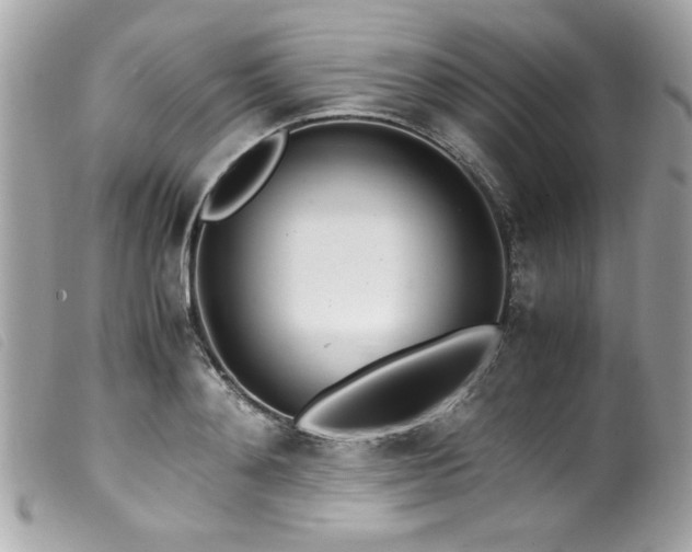 X0000100230892200805301410