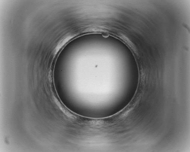 X0000100230893200805301410