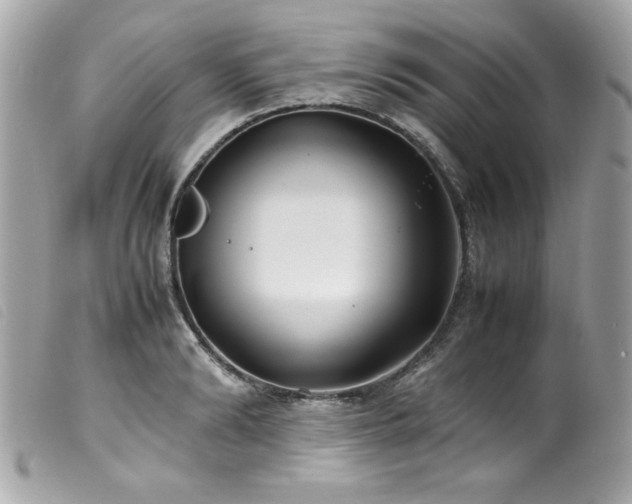 X0000100230894200805301410