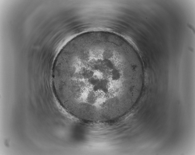 X0000100230895200805301410