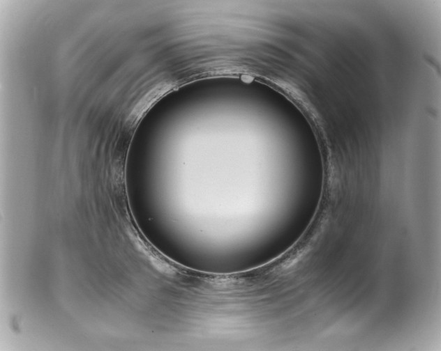 X0000100230897200805301410