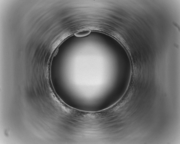 X0000100230898200805301410