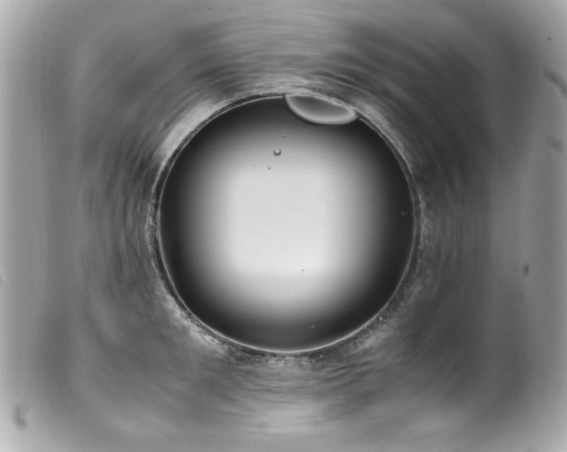 X0000100230901200805301410