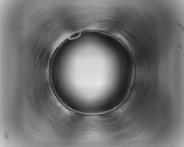 X0000100230902200805301410