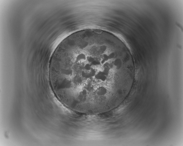 X0000100230903200805301410