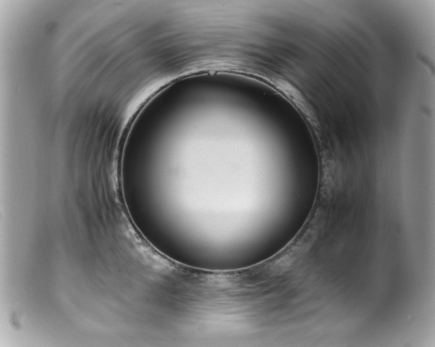 X0000100230904200805301410