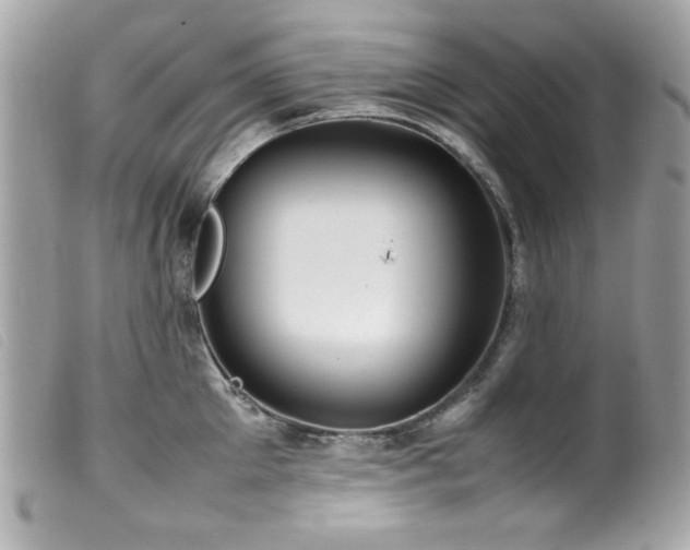 X0000100230905200805301410