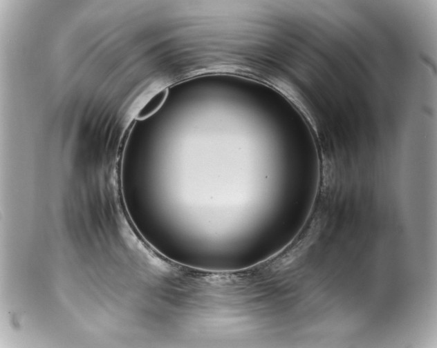 X0000100230906200805301410