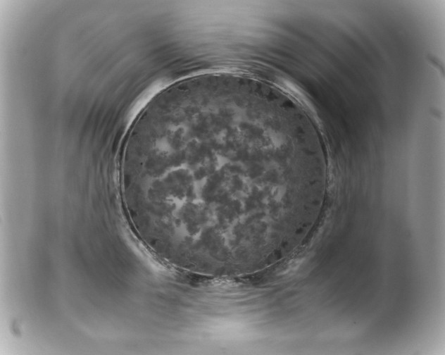 X0000100230907200805301410