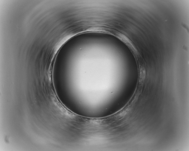 X0000100230908200805301410