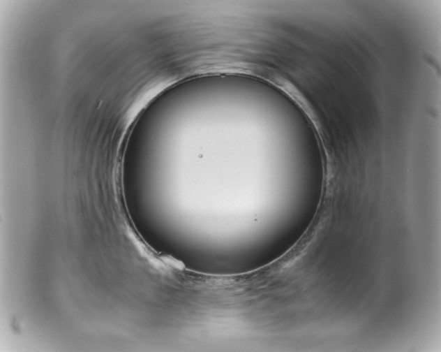 X0000100230909200805301410