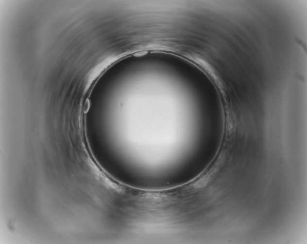 X0000100230910200805301410