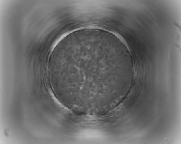X0000100230911200805301410