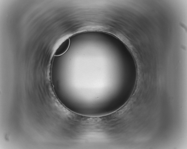X0000100230912200805301410