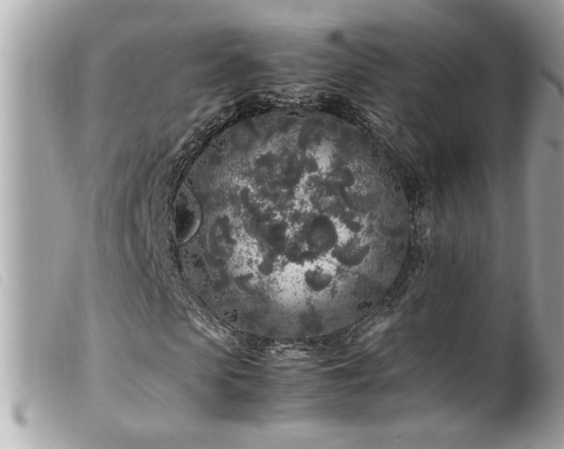 X0000100230913200805301409