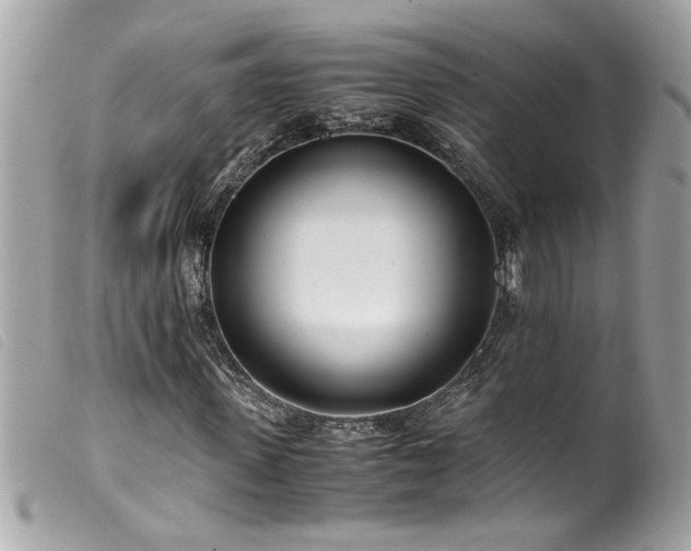 X0000100230915200805301409
