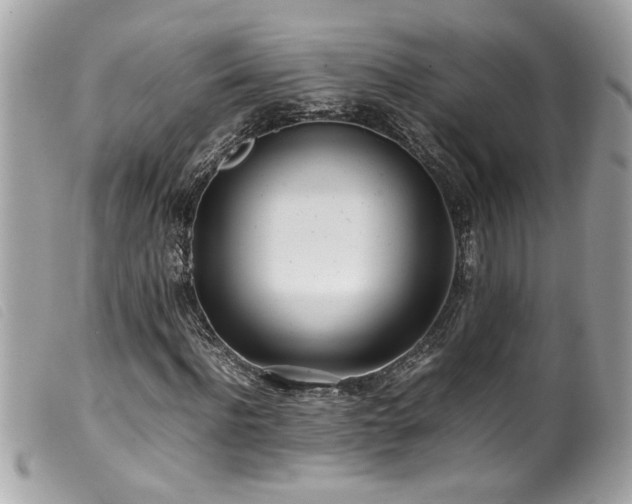 X0000100230916200805301409