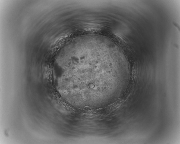 X0000100230917200805301409