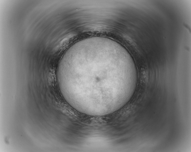 X0000100230918200805301409