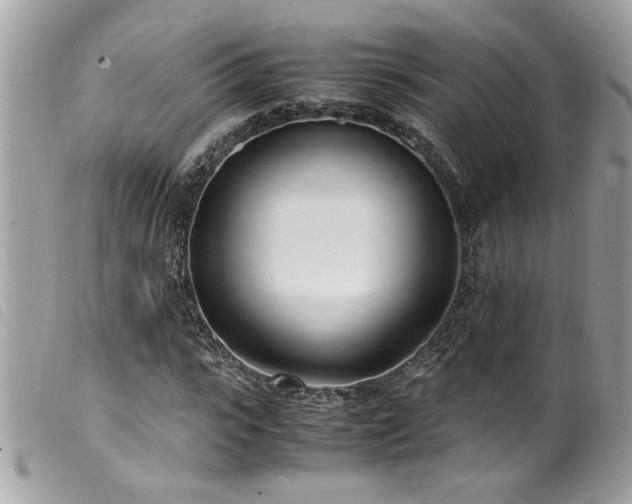 X0000100230919200805301409