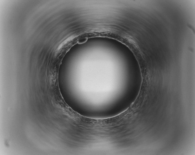 X0000100230920200805301409