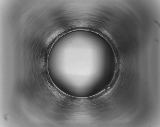 X0000100230922200805301409