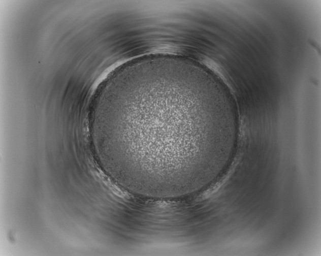 X0000100230923200805301409