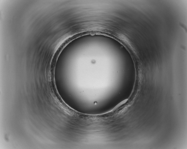 X0000100230924200805301409