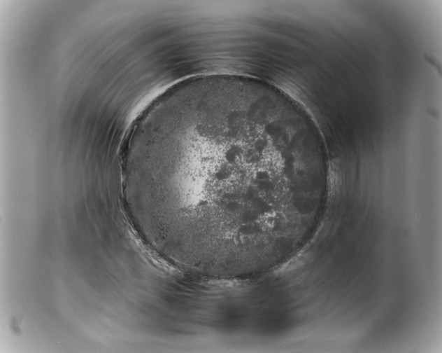 X0000100230925200805301409
