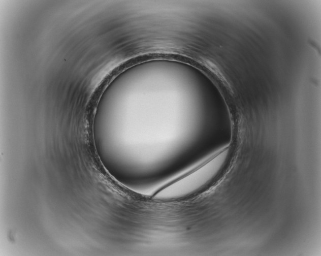 X0000100230926200805301409