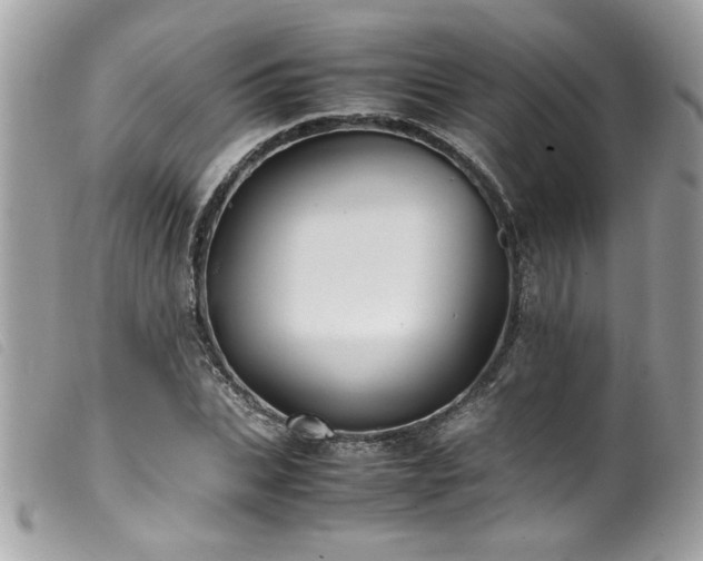 X0000100230927200805301409