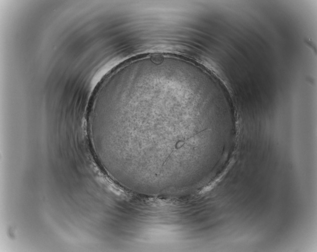 X0000100230928200805301409