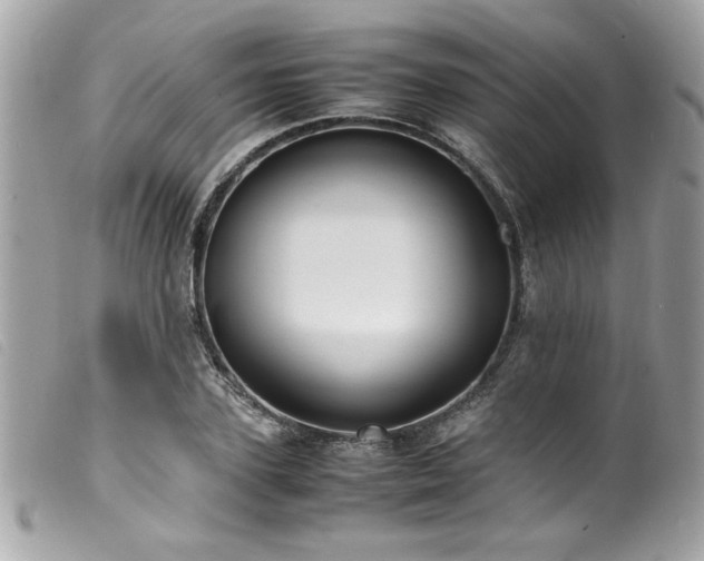 X0000100230931200805301409