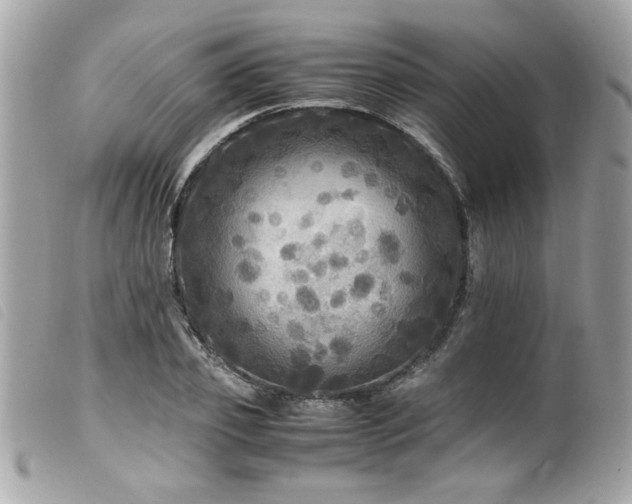 X0000100230933200805301409