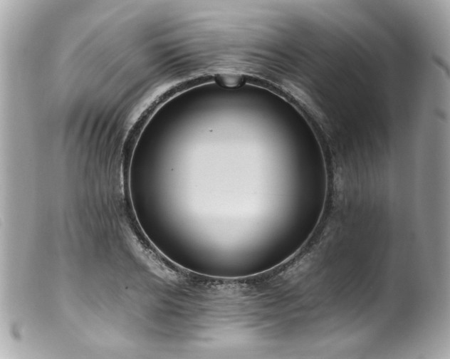 X0000100230934200805301409