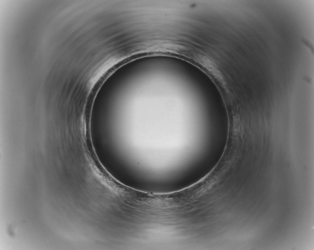 X0000100230936200805301409
