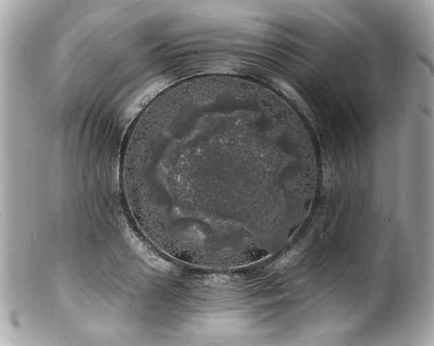 X0000100230938200805301409