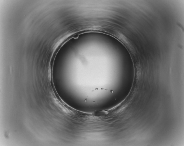 X0000100230940200805301409
