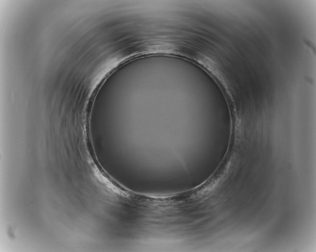 X0000100230941200805301409