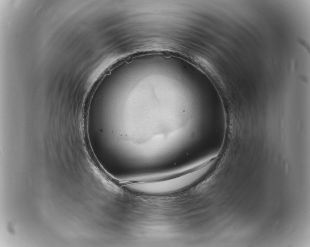 X0000100230942200805301409